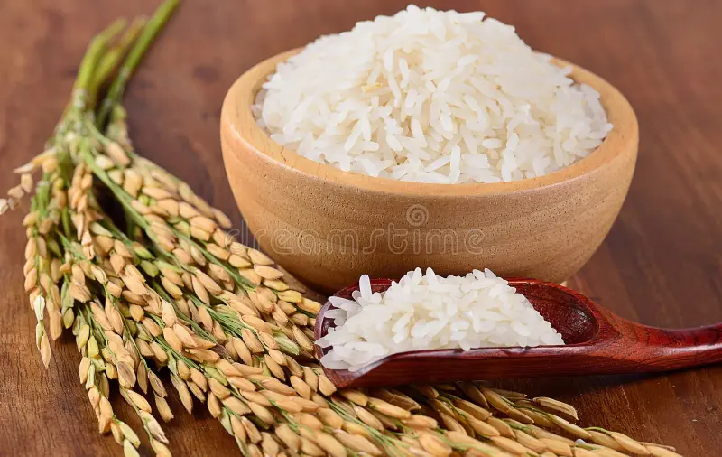 Rice